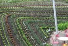 Freycinetpermaculture-5.jpg; ?>